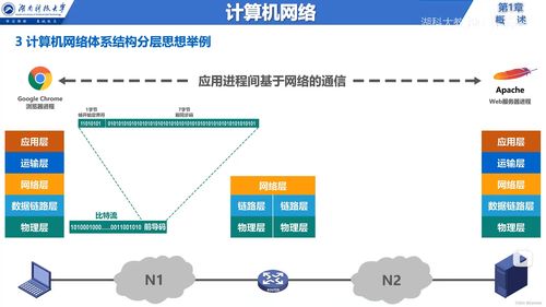 从边缘到核心 计算机网络基础与信息服务全解析