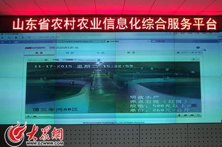 互联网助推山东农业信息化服务迈向精准化新时代