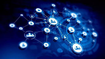 卓尔智联集团转型升级侧记 深耕产业互联网 释放发展新动能